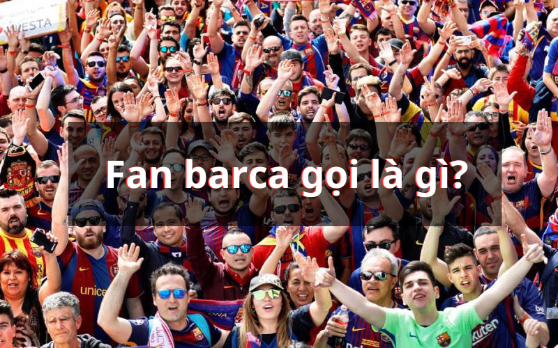 Fan Barca gọi là gì? Khám phá những thông tin thú vị 